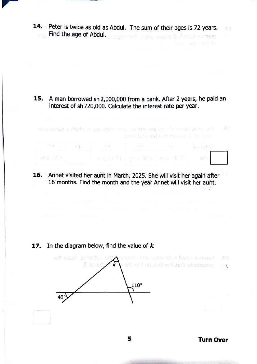 PLE 2025 Mathematics Past Paper & Answers — page 5