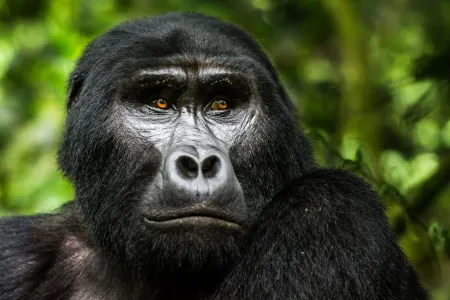 uganda-school-guide