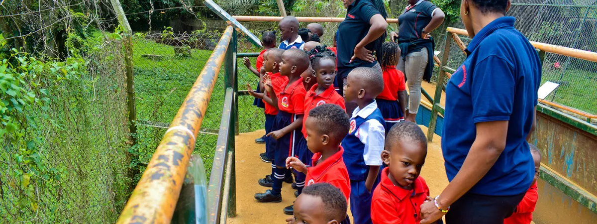 School-tours-in-uganda