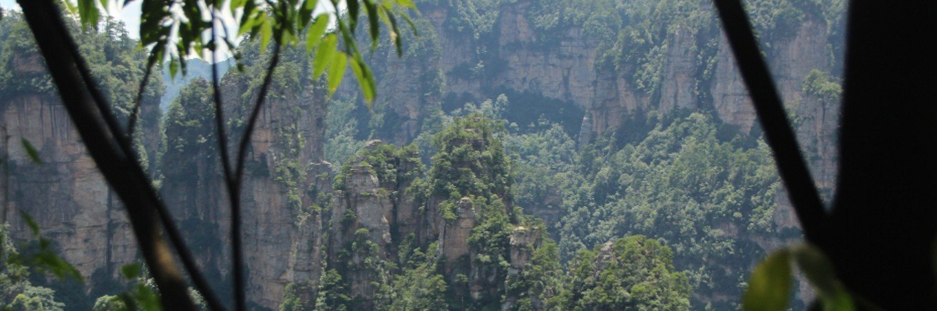 Bwindi Impenetrable National Park